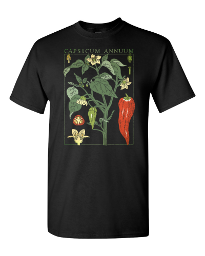 Chili Pepper Botanical on a black adult tee