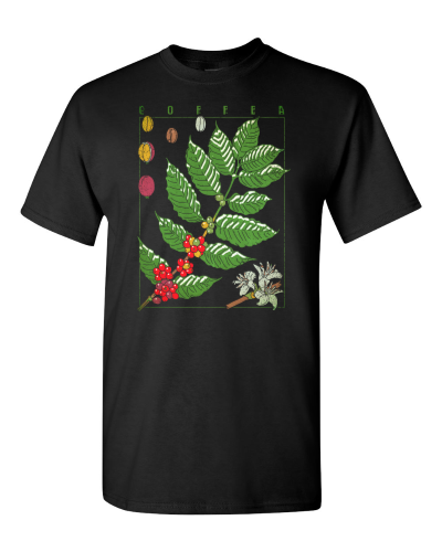 Coffee Plant Botanical on a black adult tee