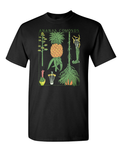 Pineapple Botanical on a black adult tee
