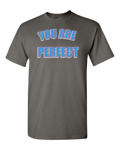 You Are Perfect on a charcoal adult tee